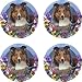 THIRSTYSTONE COASTER COMPANIONS - SHETLAND SHEEPDOG