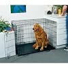 Midwest Life Stages Single-Door Folding Metal Dog Crate, 42 Inches by 28 Inches by 31 Inches