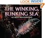 Winking Blinking Sea:All About