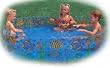 Crystal Clear 6 ft Snap Set Style Kiddie Pool