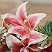 Meiliy 13'' Silk Artificial Calla Lily Flower Bouquet for Home Wedding Office Party Decoration,Pink