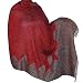 Unique Gift Ideas Antique Paisley Wool Shawl 84 x 40 inches (psley342)