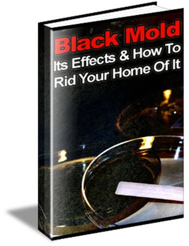 Black Mold : Its Effects and How to Rid Your Home of It