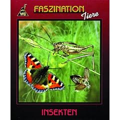 Faszination Tiere - Insekten