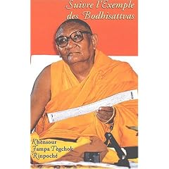 Suivre l'exemple des bodhisattvas