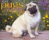 Just Pugs 2004 Calendar