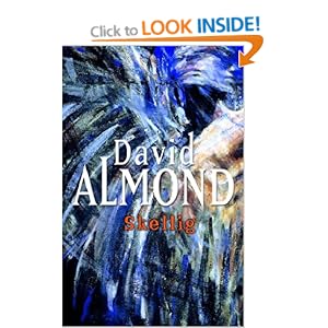 Skellig - David Almond