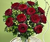 One Dozen Long Stemmed Fancy Black Magic Roses