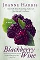 Blackberry Wine: A Novel