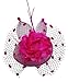 Coolwife Womens Fascinator Veil Flower Cocktail Tea Party Headwear