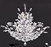Swarovski Crystal Chandalier