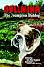 Bullmina the Courageous Bulldog