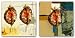 Anthropology VII-VIII Set by Miguel Paredes 12"x12" Art Print Poster Latin
