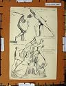 Antique Print C1800-1870 Greek Scuplture Zethos Muron