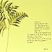 Burn Piano Island Burn [Vinyl]