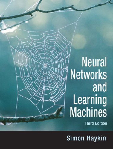 Neural Networks and Learning Machines: A Comprehensive Foundation