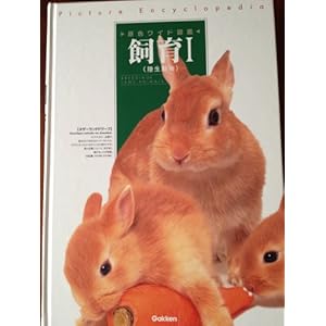 ���F���C�h�}�Ӂ\Picture encyclopedia (����1)