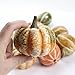 Factory Direct Craft Autumn Mixture of Assorted Gourds and Pumpkins for Table Scatters 12 Pieces