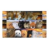 Sunsout Connections 1000 Piece Jigsaw Puzzle