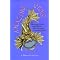 Vintage Jewerly a Price & Identification Guide 1920-1940s
