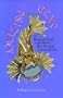 Amazing Gems: An Illustrated Guide to the World's Most Dazzling Costume Jewelry
