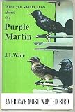 What You Should Know About the Purple Martin: Americas Most Wanted Bird
