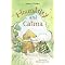 2007 ALSC Notable Children's Books - Young Readers (Part 1)