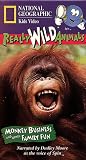 National Geographics Really Wild Animals: Monkey Business and Other Family [VHS]