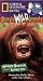 Price Comparison : National Geographic's Really Wild Animals: Monkey Business and Other Family