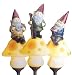 Set of 3 Solar Lighted Garden Gnome Stakes