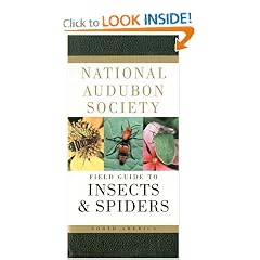 National Audubon Society Field Guide to North American Insects and Spiders (National Audubon Society Field Guides)