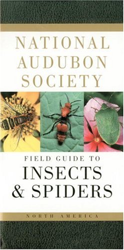 National Audubon Society Field Guide to North American Insects and Spiders (Audubon Society Field Guide)