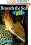Beneath the Sea in 3-D