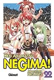 Negima! Magister Negi Magi 22