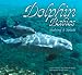 Dolphin Babies: Making a Splash