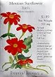 Mexican Sunflower Torch Heirloom Seeds 50 Seeds