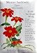 Mexican Sunflower Torch Heirloom Seeds 50 Seeds
