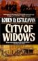 City of Widows (Page Murdock, US Deputy Marshall, Book 5)