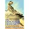 Best Non-Technical Dinosaur Books for Adults