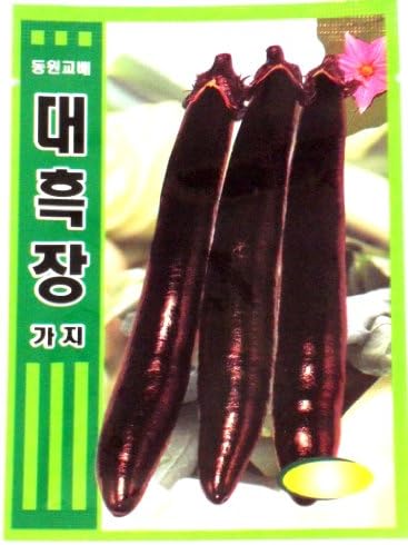 Branch Seeds Korean 2pack