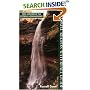 Catskill Region Waterfall Guide