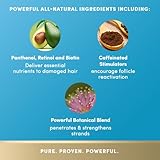 PURA D'OR Hair Loss Prevention Therapy Intense Moisturizing Masque, 12 Fluid Ounce