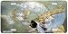 Tarpon and Menhaden - Art Print - License Plate Tag By Don Ray From Airstrike