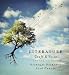 Literature: Craft and Voice
