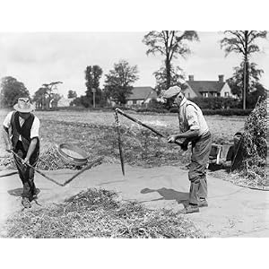 Threshing with Flails Art Print