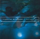 These Liquid Lungs: a Retrospective
