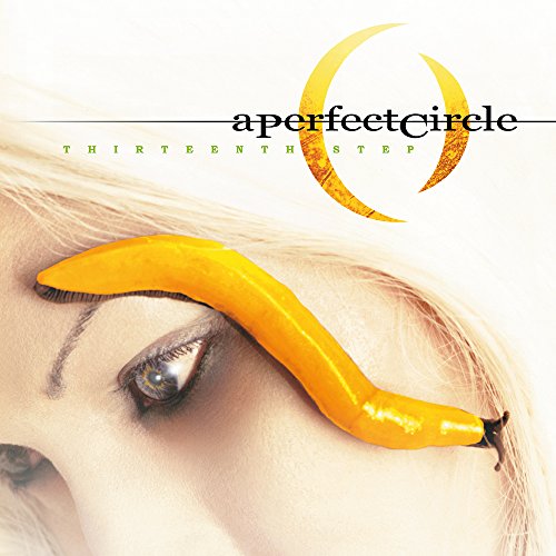 Album Art for Thirteenth Step by PERFECT CIRCLE