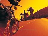 Harley at Dusk Wall Mural