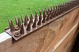 Tool Good Selections Fence And Wall Spikes 5 Metre Pack (brown)