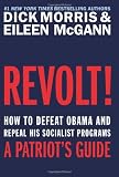Revolt!: How to Defeat Obama and Repeal His Socialist Programs